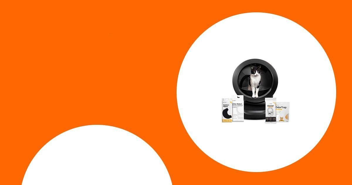 How to Choose the Perfect Cat Litter Box for Your Feline Friend